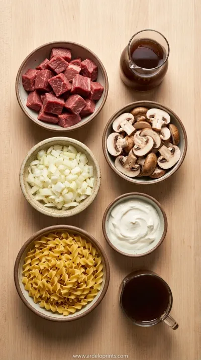 Easy Crock Pot Beef Stroganoff Recipe - ingredients preparation